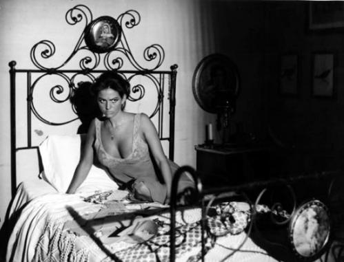 vaghe-stelle-dell-orsa